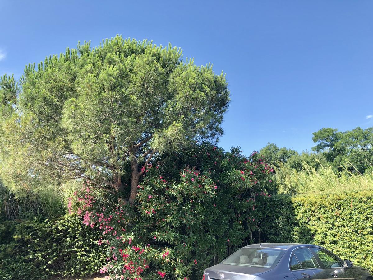 Premiere Classe Perpignan Sud Exterior photo